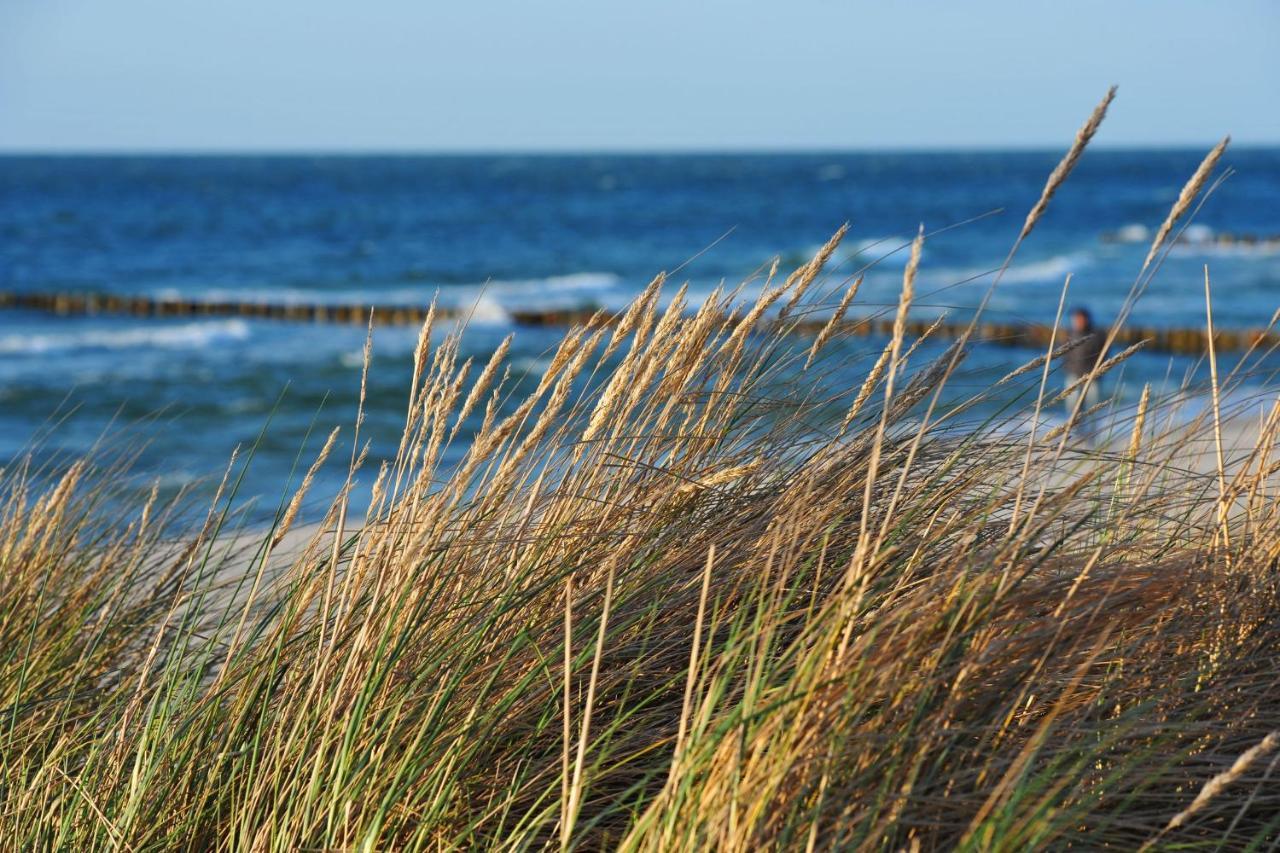 Seestr_54 Nr_304 Zingst Ngoại thất bức ảnh