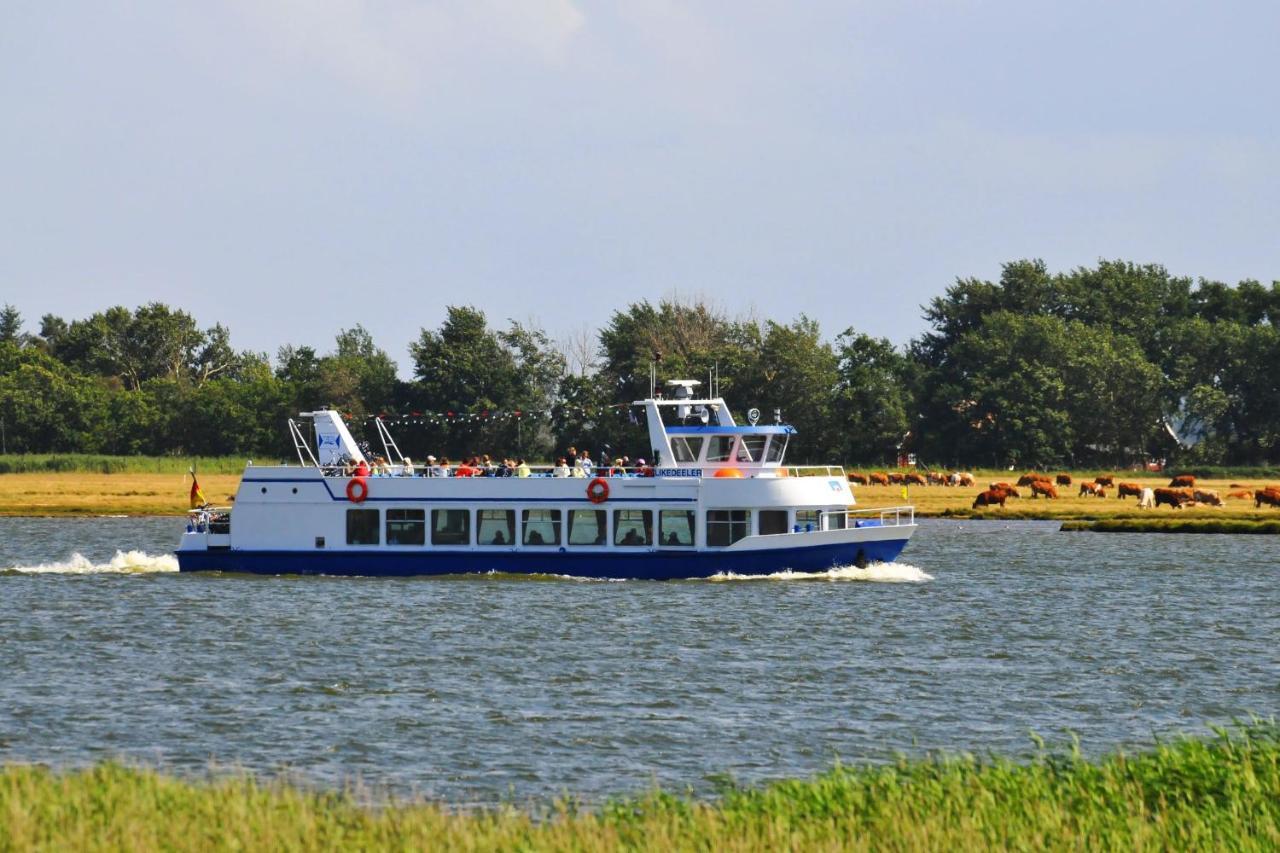 Seestr_54 Nr_304 Zingst Ngoại thất bức ảnh