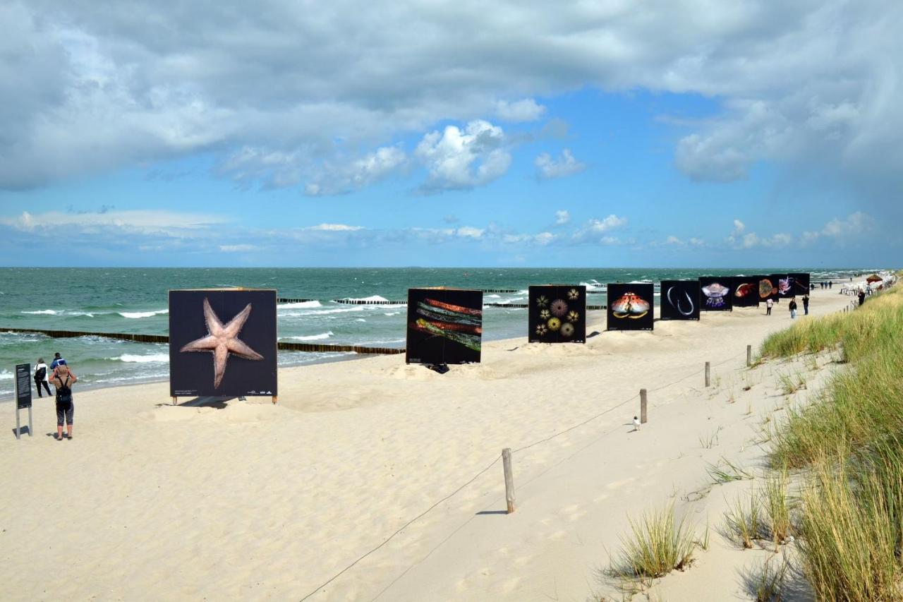 Seestr_54 Nr_304 Zingst Ngoại thất bức ảnh