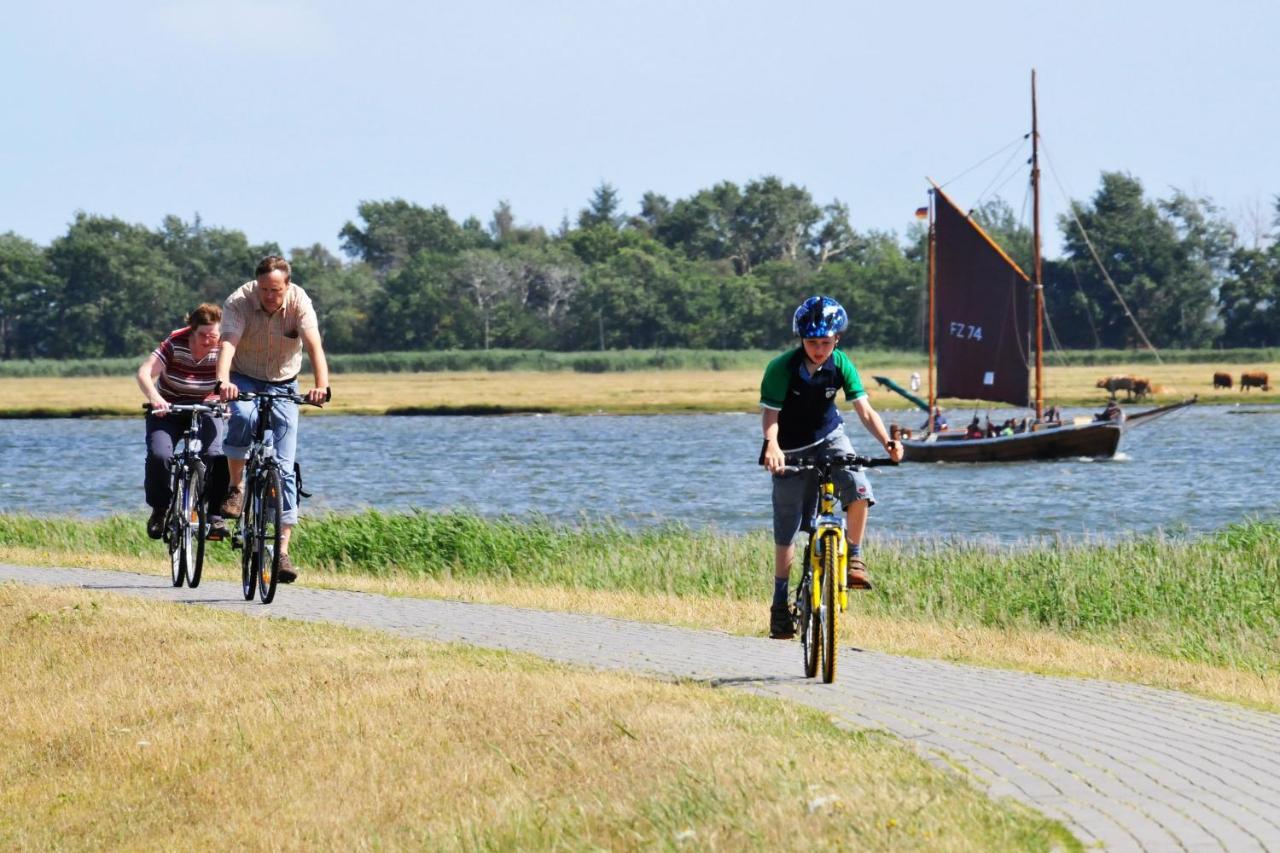 Seestr_54 Nr_304 Zingst Ngoại thất bức ảnh